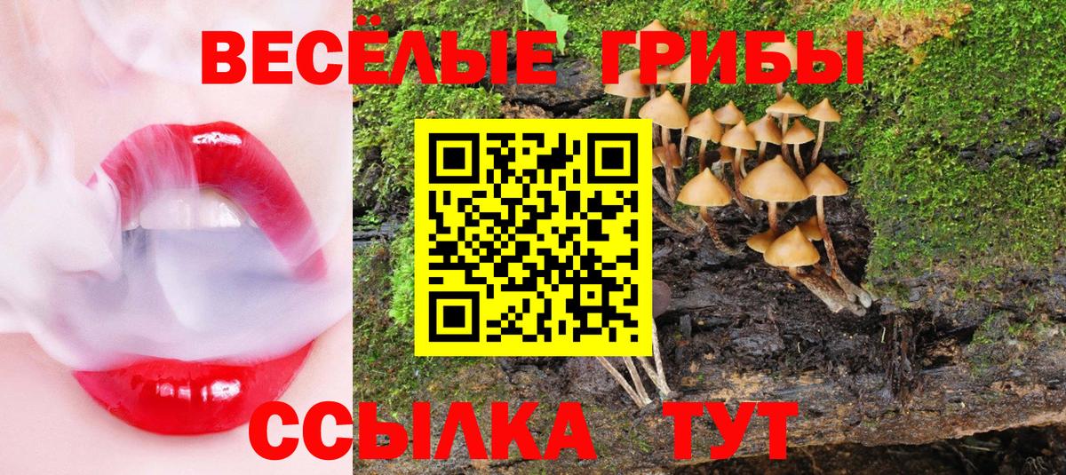 Псилоцибиновые грибы ЛСД  Вход с VPN  Галлюциногенные грибы Cubensis  закладка  Лесозаводск 